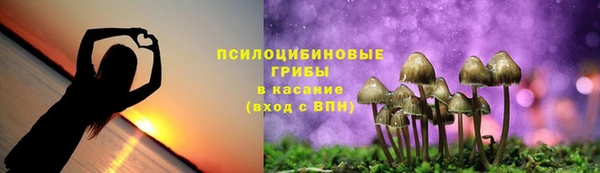 индика Абдулино