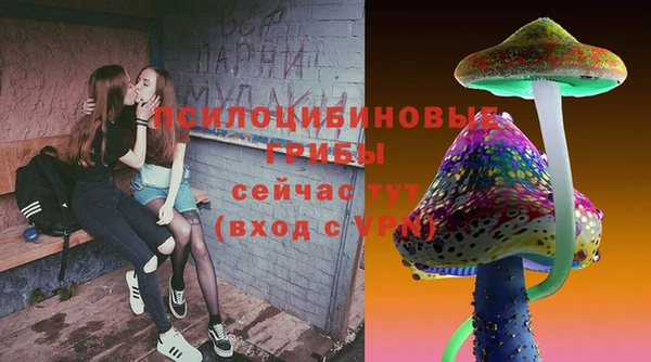 индика Абдулино