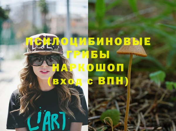 амф Абинск