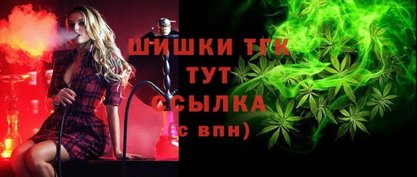 индика Абдулино