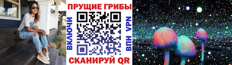 Галлюциногенные грибы Cubensis  Калачинск 