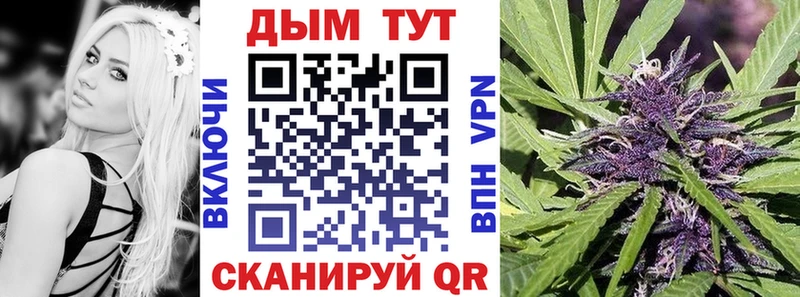 Канабис Bruce Banner  где найти   Калачинск 